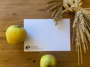 Seasonal Kitchen Postcards